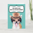 Search for chihuahua jokes Funny