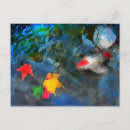 Search for fish pond postcards Lilies
