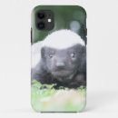 Search for badgers electronics Nature