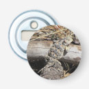 Recherche de grenouille mignonne ouvre bouteilles Crapaud