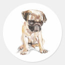 Search for pug lover stickers Pet