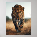 Search for wildlife posters Wilderness