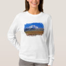 Search for denali Fall
