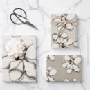 Search for magnolia wrapping paper White flowers