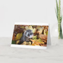 Search for pet ferret cards Animal