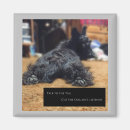 Recherche de scottish terrier maison deco Mignon