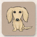 Search for longhair barware Dog