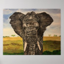 Search for elephant art Wildlife