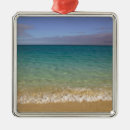 Search for turks and caicos ornaments Tropical