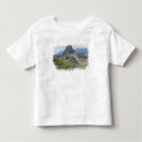 Search for civilisation Incanmountain