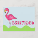 Recherche de flamand rose cartes postales Tropical