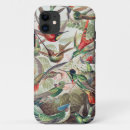 Search for marine biology iphone cases Ernst haeckel