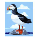 Search for atlantic puffin posters Animals