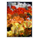 Recherche de keukenhof Fleur