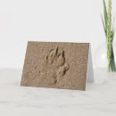 Search for foot prints cards Sand