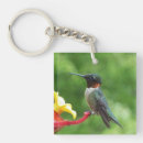 Search for ruby throated hummingbird keychains Nature