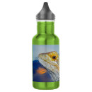 Search for lizard water bottles Wildlife