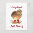 Search for ducky postcards Fun