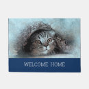 Recherche de kitty Animaux