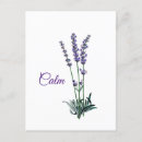 Search for silence postcards Calm