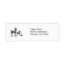 Search for willow return address labels Deer