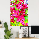 Search for crabapple posters Flower