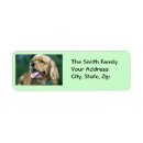 Search for pet adoption return address labels Rescue