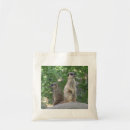 Search for meerkats bags Mammal
