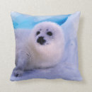 Recherche de phoque coussins Arctique