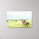 Search for horse canvas prints Nature