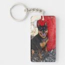 Search for pinscher dog keychains Animal