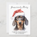 Search for doxies cards Pet