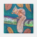 Search for wild squirrel magnets Animal