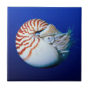 Recherche de nautilus carreaux Océan