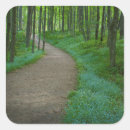 Search for miners stickers Wildflower