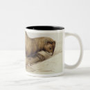 Recherche de belette tasses Animaux