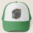 Recherche de koala casquettes Animal australien