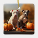 Recherche de chiot pitbull ornements Animal de compagnie