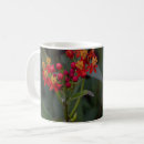 Search for milkweed mugs Garden