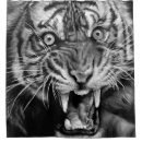 Search for wild tiger shower curtains Black