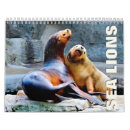 Search for lion calendars Wildlife