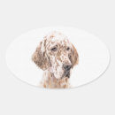 Search for english setter stickers Dog