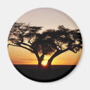 Recherche de afrique magnets Jungle