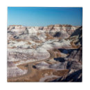 Search for arid tiles Dry