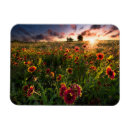 Search for blankets magnets Flower