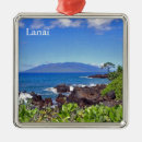 Recherche de hawaii ornaments Montagne