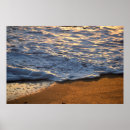 Recherche de mousse impressions sur toile Nature