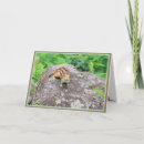 Search for the best things in life cards Animals