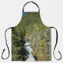 Search for waterfall aprons Forest