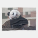 Search for black bear tea towels China